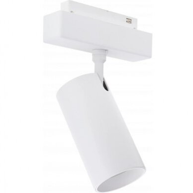 LED magnetinis prožektorius M35, 20W, 1600Lm, baltas, neutrali balta šviesa 1