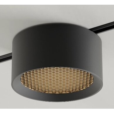 LED magnetinis šviestuvas M05, 10W, korio dangtelis, neutrali balta šviesa LED magnetinis šviestuvas M05, 10W, korio dangtelis, neutrali balta šviesa