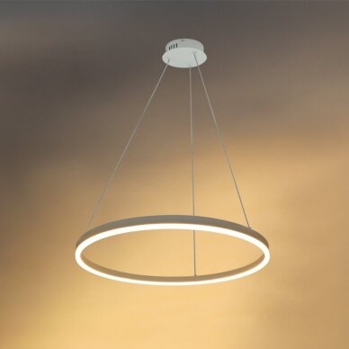 LED Pendant Lamp, 22W, White, Warm Light 2