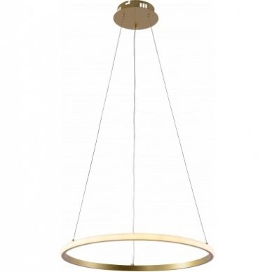 LED pakabinamas šviestuvas, 30W, šlifuotas auksas, dimeriuojamas, nuotolinis valdymas, CCT LED pakabinamas šviestuvas, 30W, šlifuotas auksas, dimeriuojamas, nuotolinis valdymas, CCT