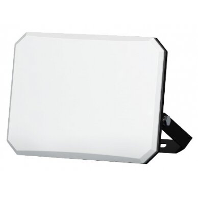 LED Floodlight, White, Milky Lens, 30W, Neutral Light