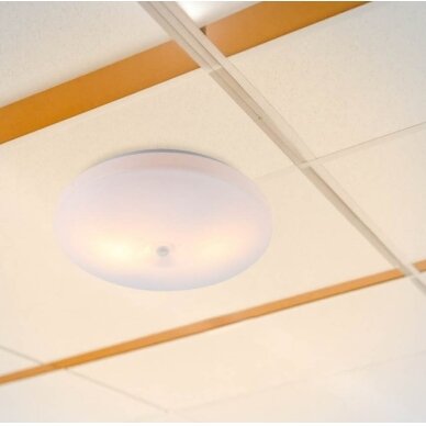 LED sieninis šviestuvas, baltas, diskas, 2 lizdai, Max 40W 3