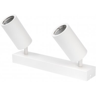 LED taškinis šviestuvas, 2 lemputės, baltas
