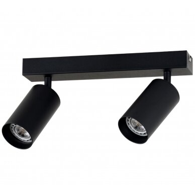 LED Spotlight Fixture, Two Heads, Black