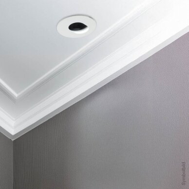 LED Spotlight Fixture, Round, White, Oval 3