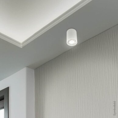 LED Spotlight Fixture, Round, Plastic, White 3
