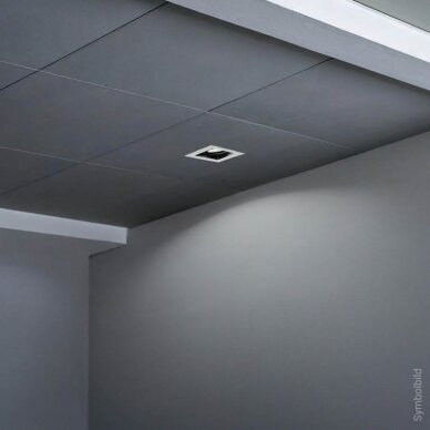 LED taškinis šviestuvas, kvadratinis, baltas/juodas, apskritimas 2