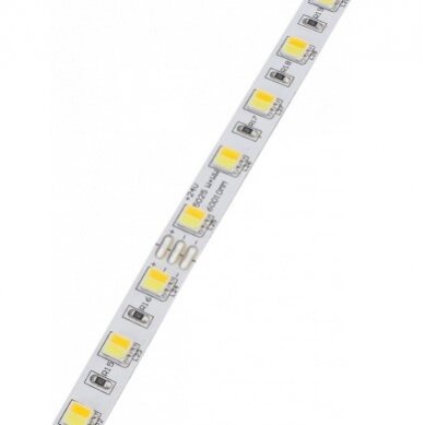 LED Strip 16W/m, 800Lm/m, 24V, 3 Years Warranty, Warm Light/White Light 2