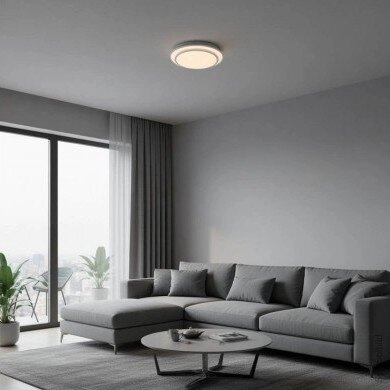 LED Ceiling Light, 12W, White/Silver, CCT Light 3