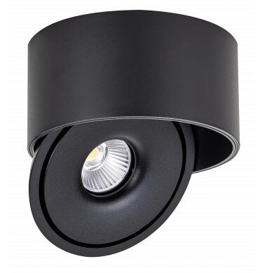 LED Downlight, 20W, Round, Rotatable, Black, CCT