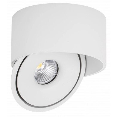 LED Downlight, 30W, Round, Rotatable, White, CCT