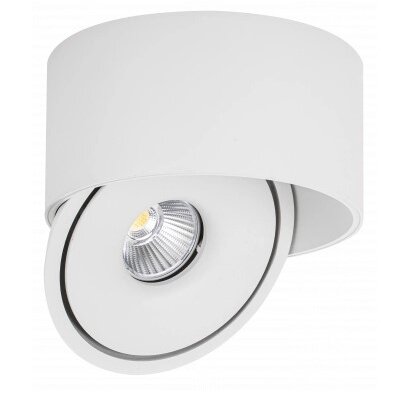 LED Downlight, 20W, Round, Rotatable, White, CCT