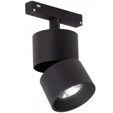 LED magnetinis prožektorius M20, 10W, 800Lm, šilta balta šviesa 1