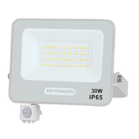 LED prožektorius, baltas, PIR jutiklis, 30W, 120°, šalta balta šviesa