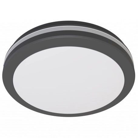 LED Outdoor Ceiling Light, Black, 30W, CCT