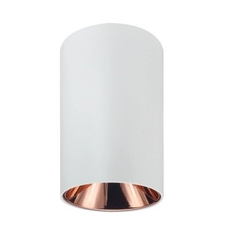 LED taškinis šviestuvas, apvalus, RG reflektorius 2