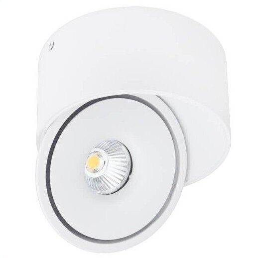 LED Downlight, 20W, Round, Rotatable, White, CCT 1