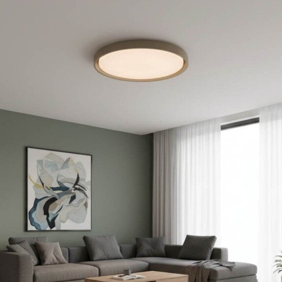 LED Ceiling Light, 36W, White/Taupe, CCT Light 4