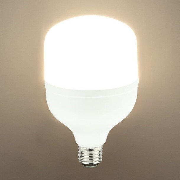 LED Bulb E27 T100 30W, Neutral Light 2