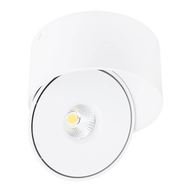 LED Downlight, 30W, Round, Rotatable, White, CCT 1