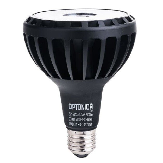 LED Bulb E27 PAR30 25W, White Light 1