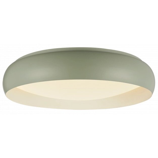 LED Ceiling Light, 24W, White/Reseda, CCT Light