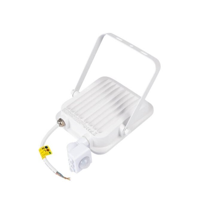 LED prožektorius, baltas, PIR jutiklis, 30W, šalta balta šviesa 2
