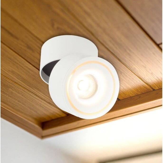 LED Downlight, 12W, White, Adjustable, Warm Light 3