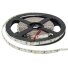 LED Strip 9.6W/m, 1200Lm/m, 24V, Pro, White Light LED Strip 9.6W/m, 1200Lm/m, 24V, Pro, White Light