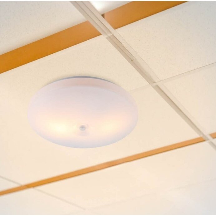 LED sieninis šviestuvas, baltas, diskas, 2 lizdai, Max 40W 3