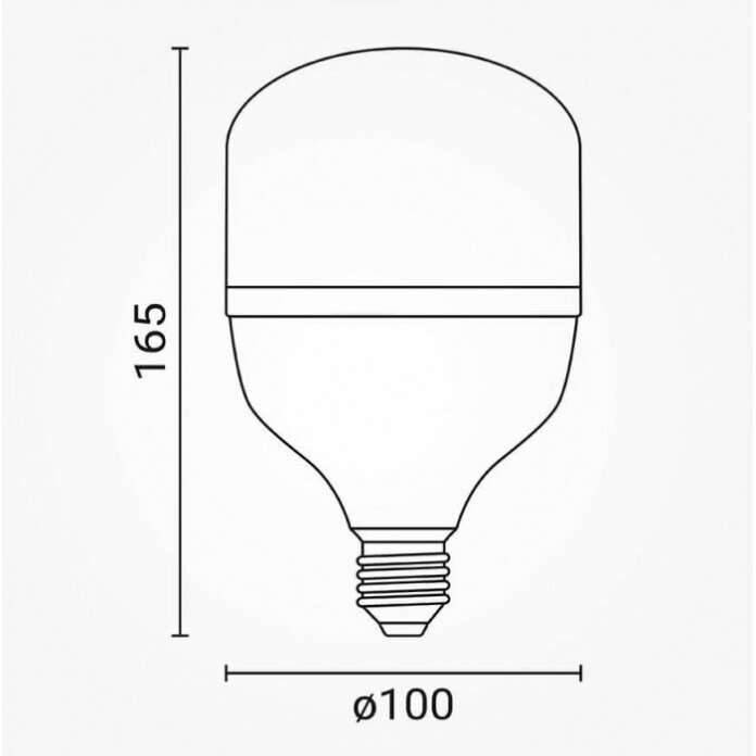 LED Bulb E27 T100 30W, White Light 1