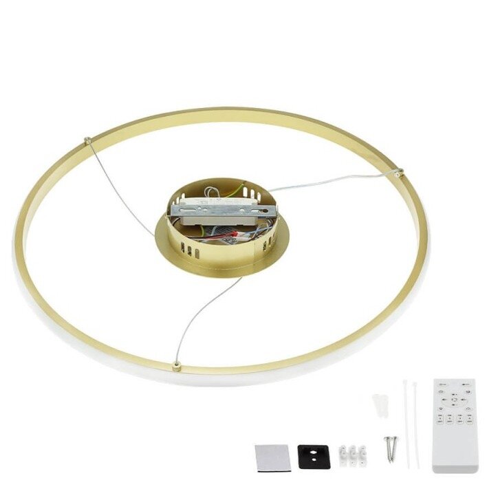 LED pakabinamas šviestuvas, 30W, šlifuotas auksas, dimeriuojamas, nuotolinis valdymas, CCT 1 LED pakabinamas šviestuvas, 30W, šlifuotas auksas, dimeriuojamas, nuotolinis valdymas, CCT 1