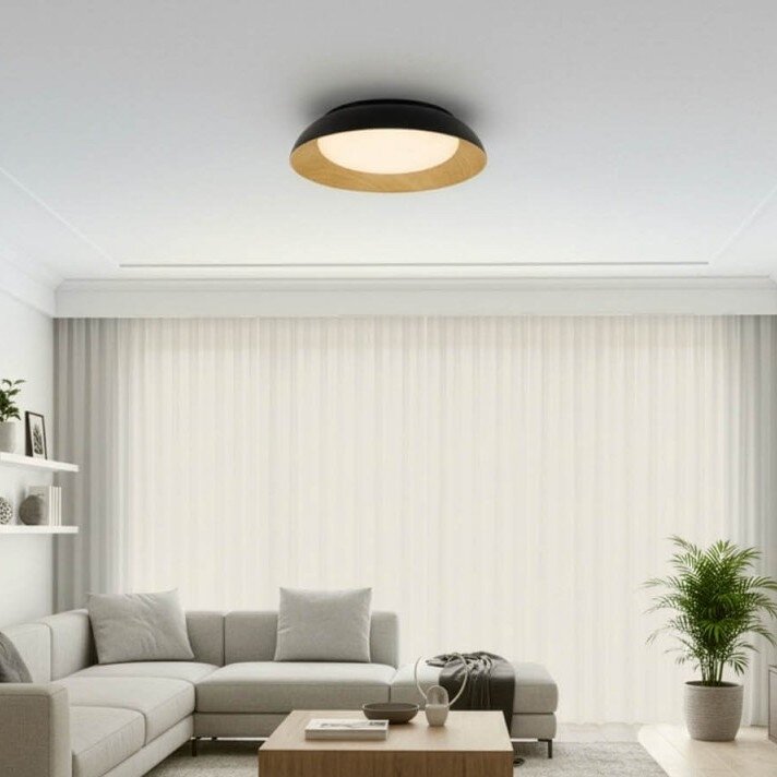 LED Ceiling Light, 24W, White/Black/Wood, CCT Light 4