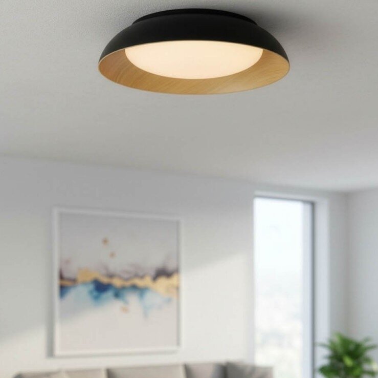 LED Ceiling Light, 24W, White/Black/Wood, CCT Light 5