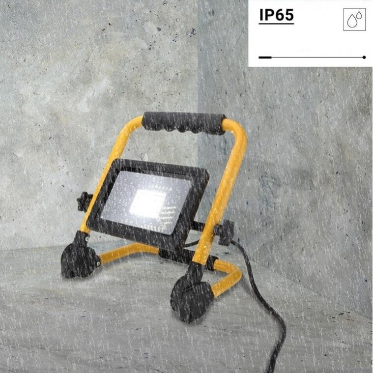 LED prožektorius, nešiojamas, 30W, šalta balta šviesa 4