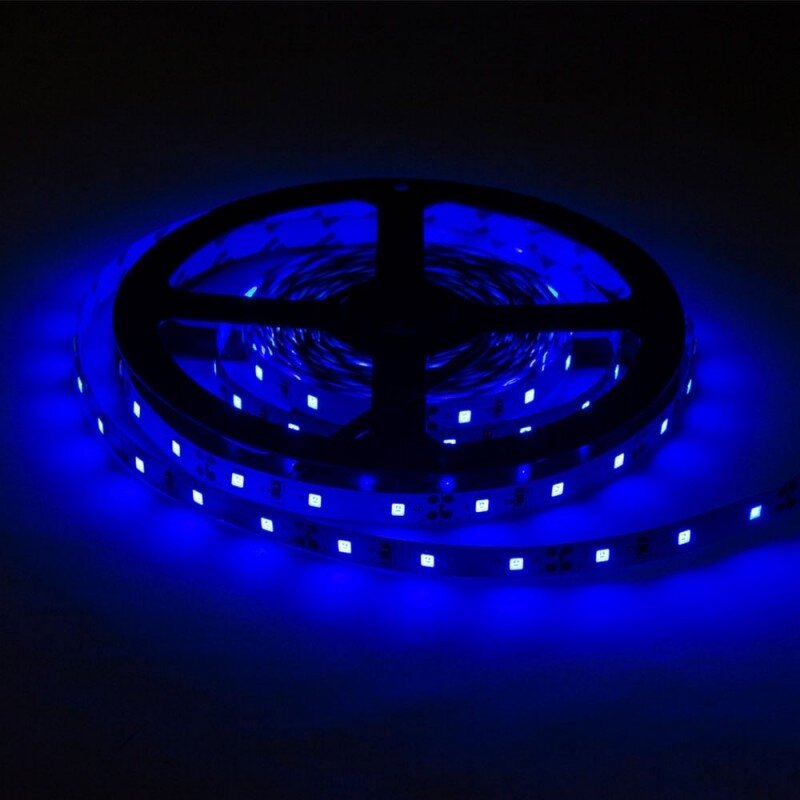 LED Strip 4.8W/m, 300Lm/m, 12V, Pro, Blue 2