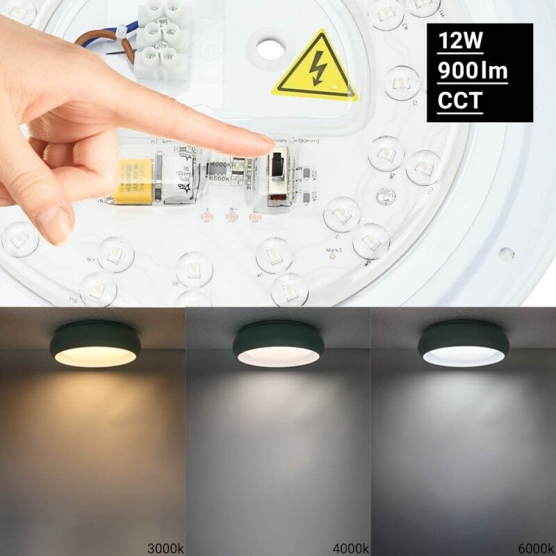 LED lubų šviestuvas, 12W, baltas/pilkai žydras, CCT šviesa 3
