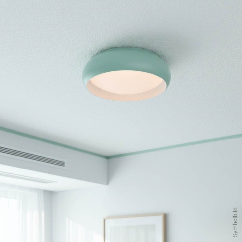 LED lubų šviestuvas, 12W, baltas/pilkai žydras, CCT šviesa 5