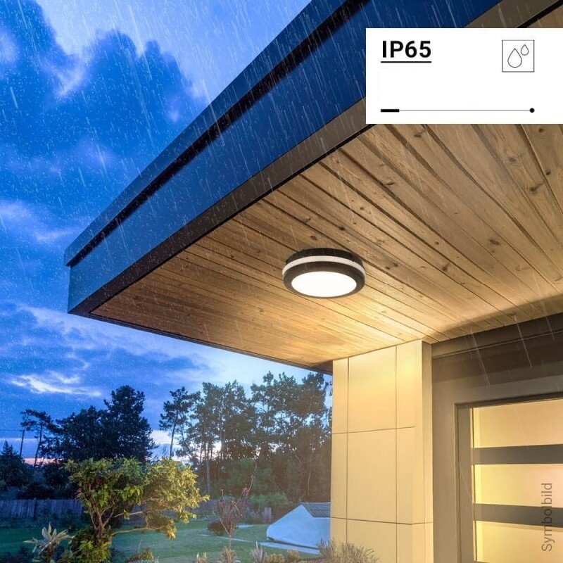 LED lubų šviestuvas, 20W, juodas, CCT šviesa 3