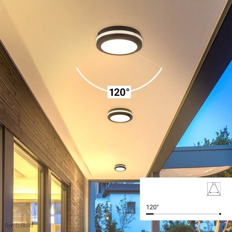 LED lubų šviestuvas, 20W, juodas, CCT šviesa 4