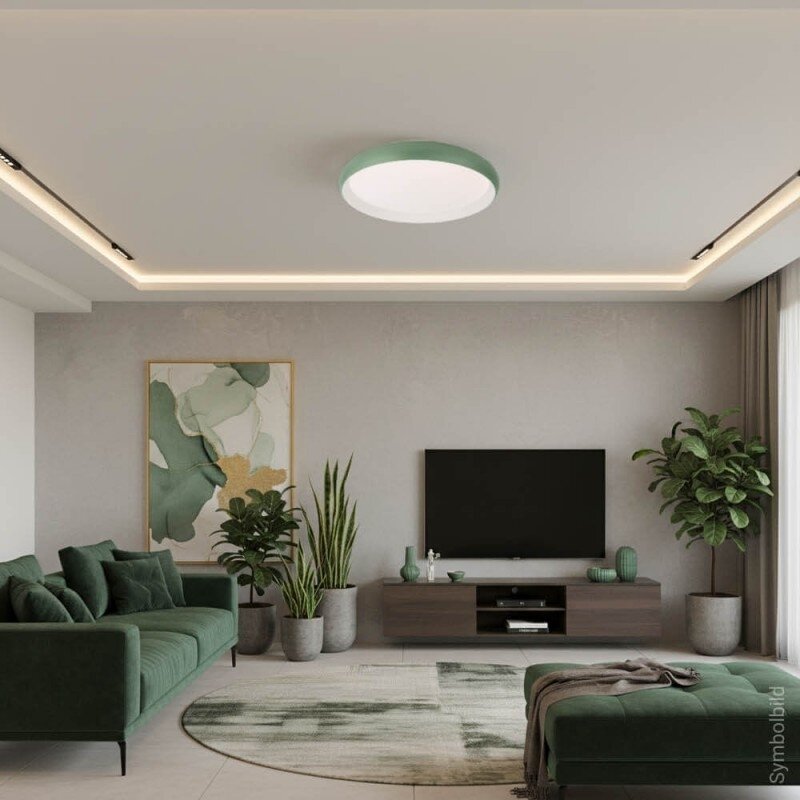 LED Ceiling Light, 24W, White/Reseda, CCT Light 4