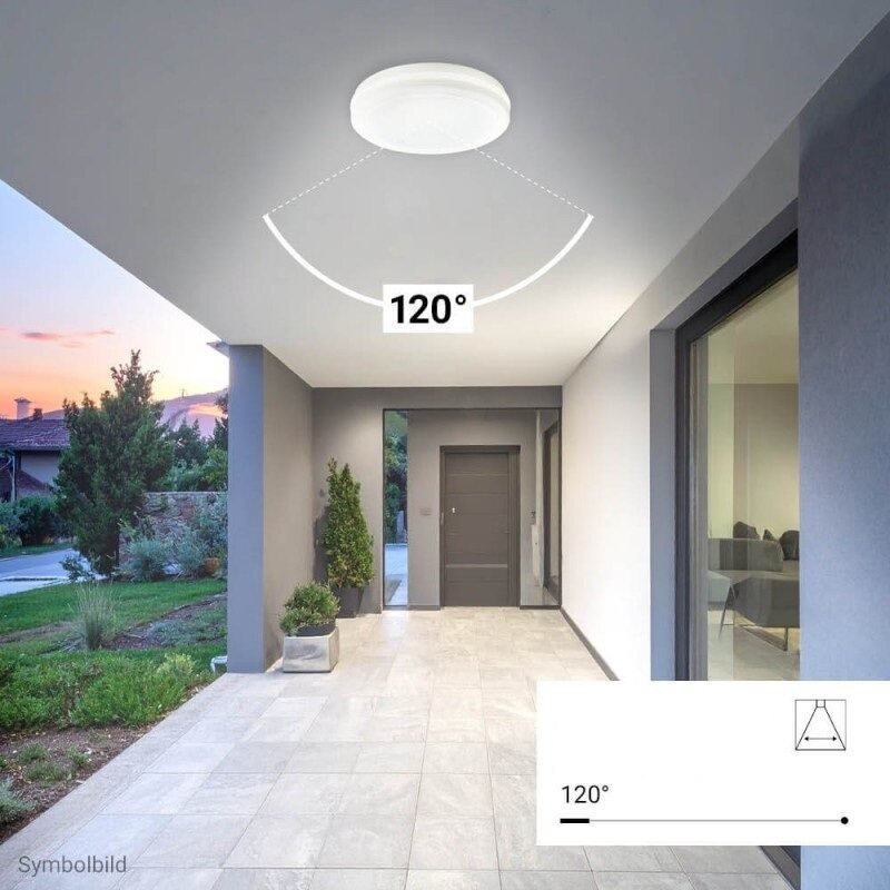 LED Outdoor Ceiling Light, White, 30W, CCT 4