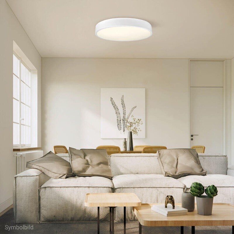 LED lubų šviestuvas, 30W, baltas, neutrali balta šviesa 3