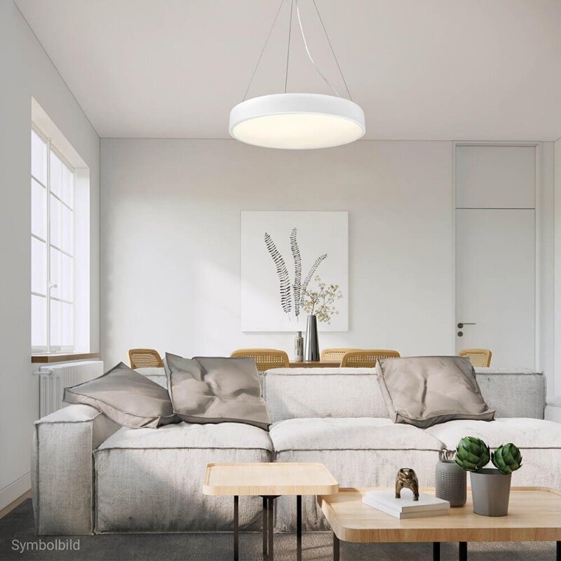 LED lubų šviestuvas, 30W, baltas, neutrali balta šviesa 4