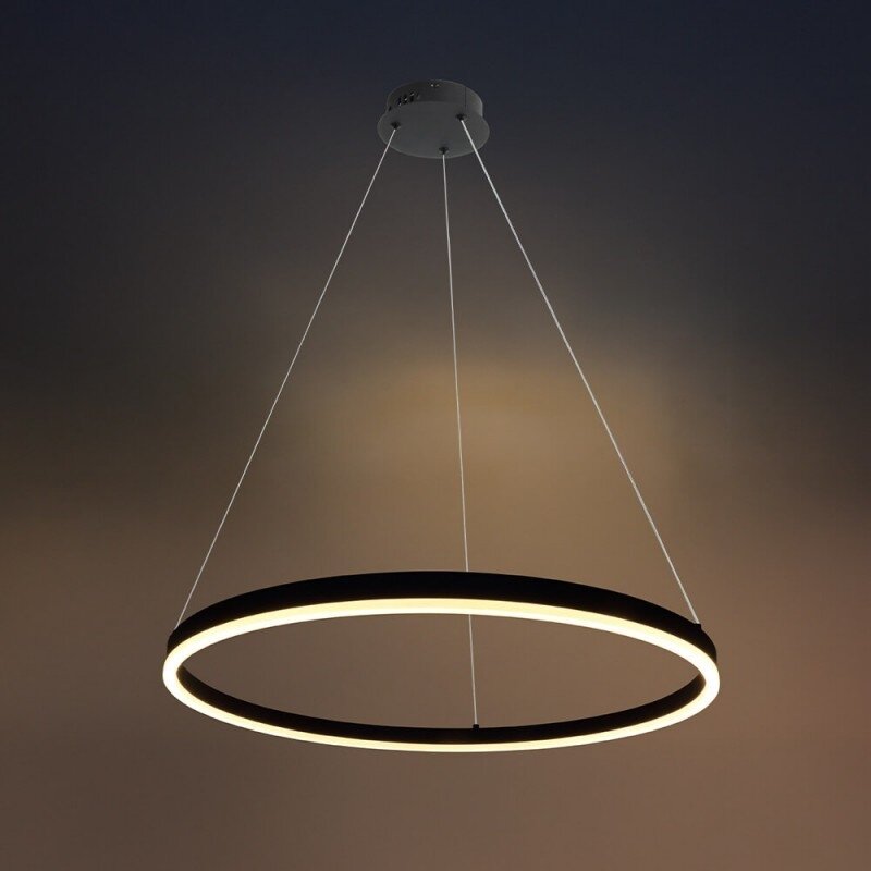 LED pakabinamas šviestuvas, 22W, juodas, šilta balta šviesa 2