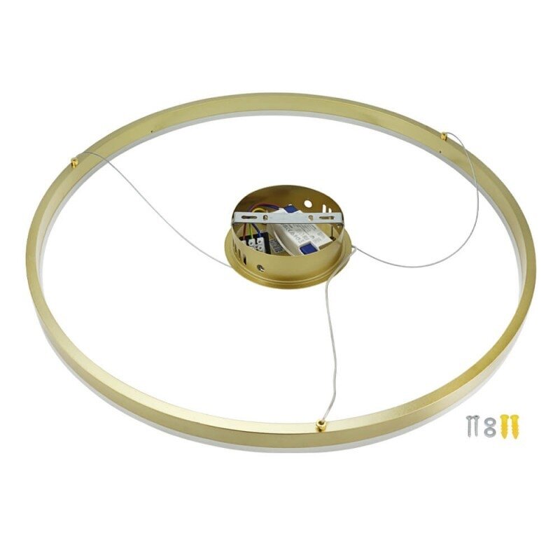 LED Pendant Lamp, 22W, Satin Gold, Warm Light 1