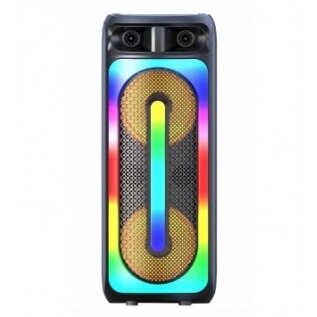 Nešiojamas garsiakalbis, Bluetooth, 2x8coliai